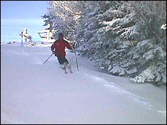 A skier enjoys six inches of new snow on Monday at Snowshoe.