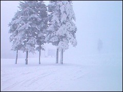 Snowshoe has already  converted over 24 million gallons of water to snow, but that didn't stop Mother Nature from dropping 8 inches of fresh powder  on the resort Tuseday, just in time for opening day.