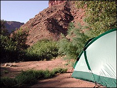 Dozens of primitive BLM camping sites  line the Colorado River in a canyon just south of Arches National  Park.
