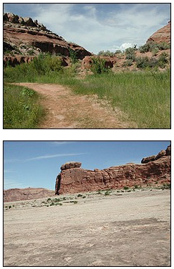 The Monitor and Merrimack  trail covers a wide variety of terrain: dirt jeep trails, singletrack,  and, of course, unadulterated slickrock.