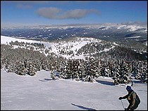 Drop down from Parsenn Bowl into the trees of Mary Jane.