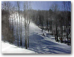 Snow guns on Lower White Lightning at Timberline.