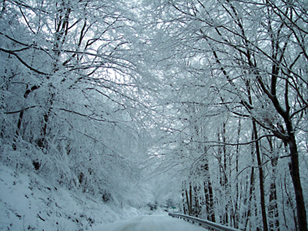 Laura reports that Timberline opened on Thursday with excellent conditions.