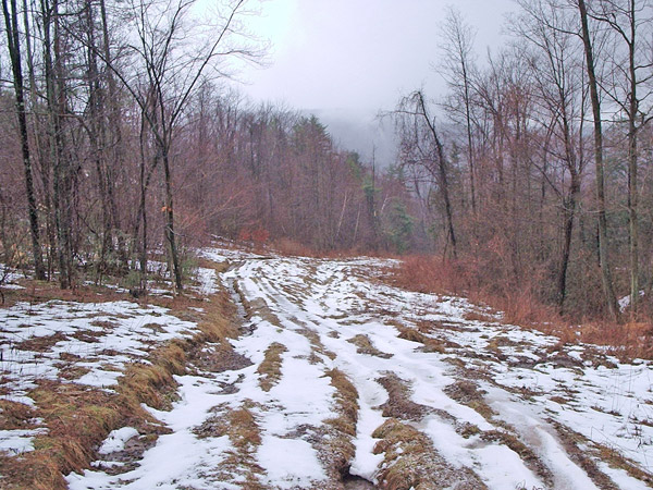 This particular trail had a rough road snaking along it.  There was evidence that perpendicular drainage ditches were dug on some routes.