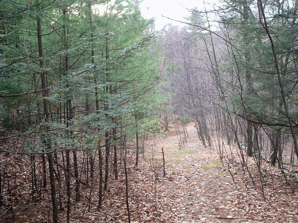 Kevin notes that this trail does not appear to be maintained at all and is quickly growing in.