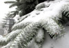 West Virginia Resorts Offer Statewide Mountain Pass