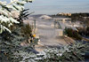 What's New for 2011: Snowshoe Mountain Resort