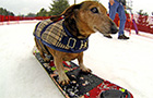 Firsthand Report: Liberty Mountain Resort