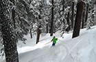 Firsthand Report: Sierra at Tahoe - Our Huckleberry Bowl Buddies