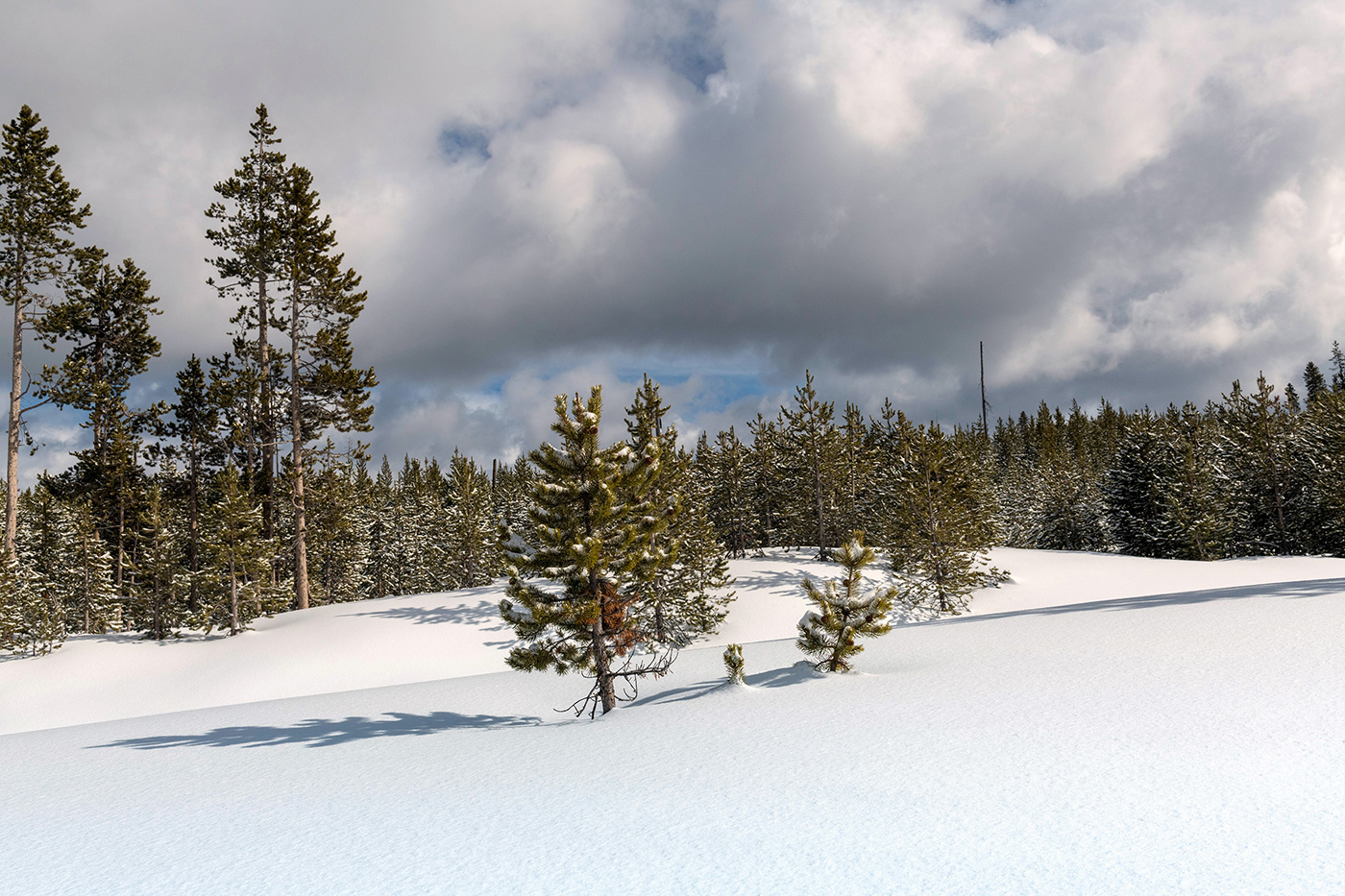 Yellowstone