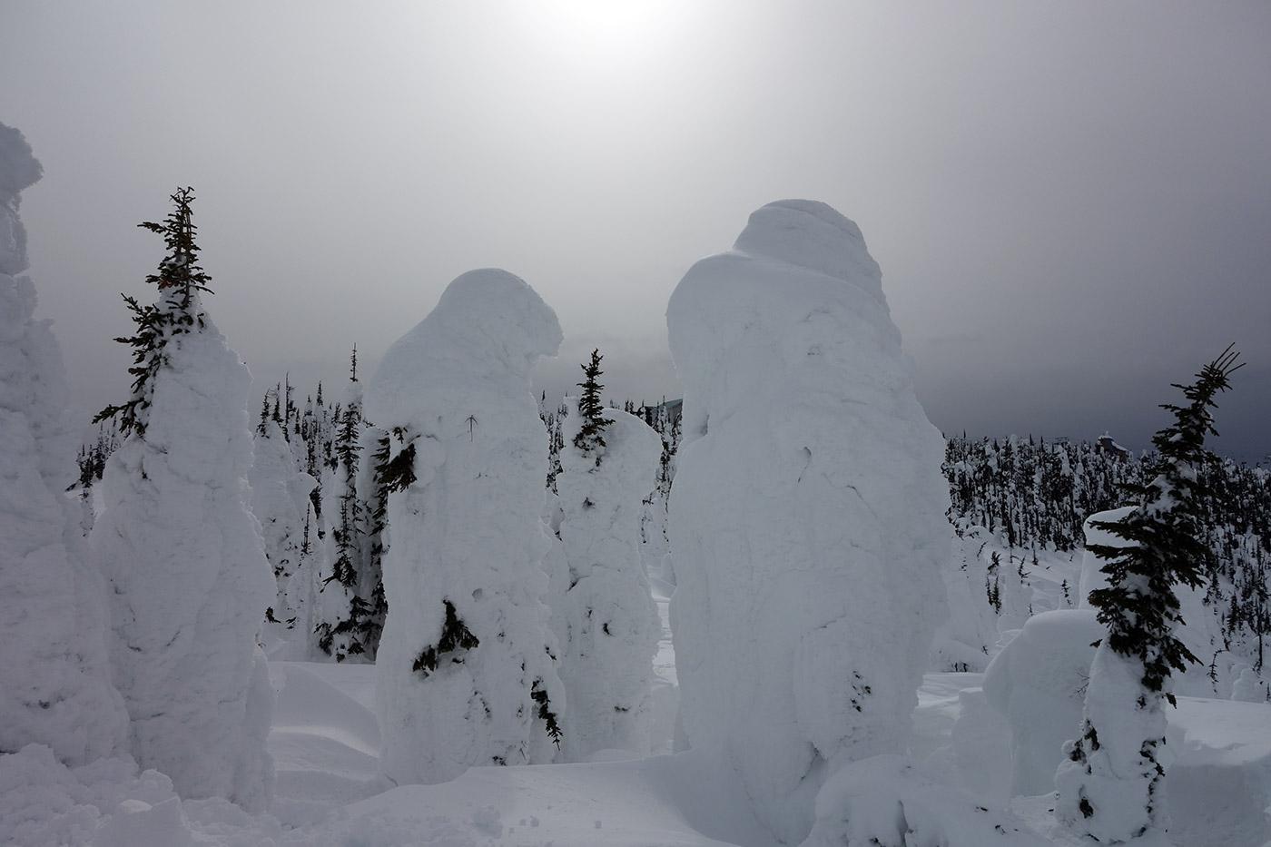 A powder day at Alta in February, 2011.