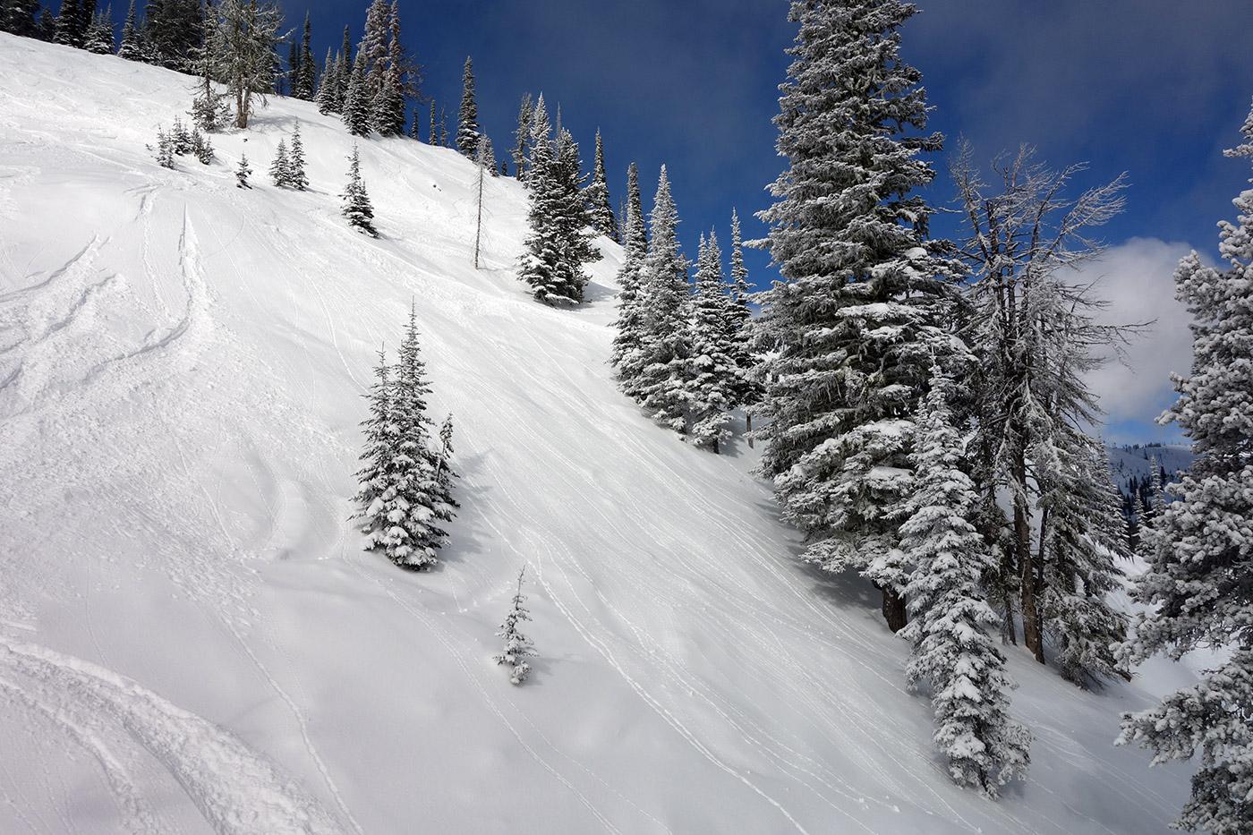 A powder day at Alta in February, 2011.
