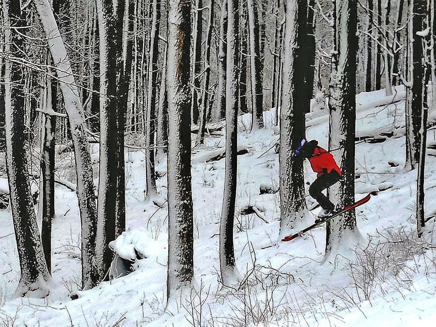 Diamonds in the Rough: Where DCSki Readers See Untapped Potential