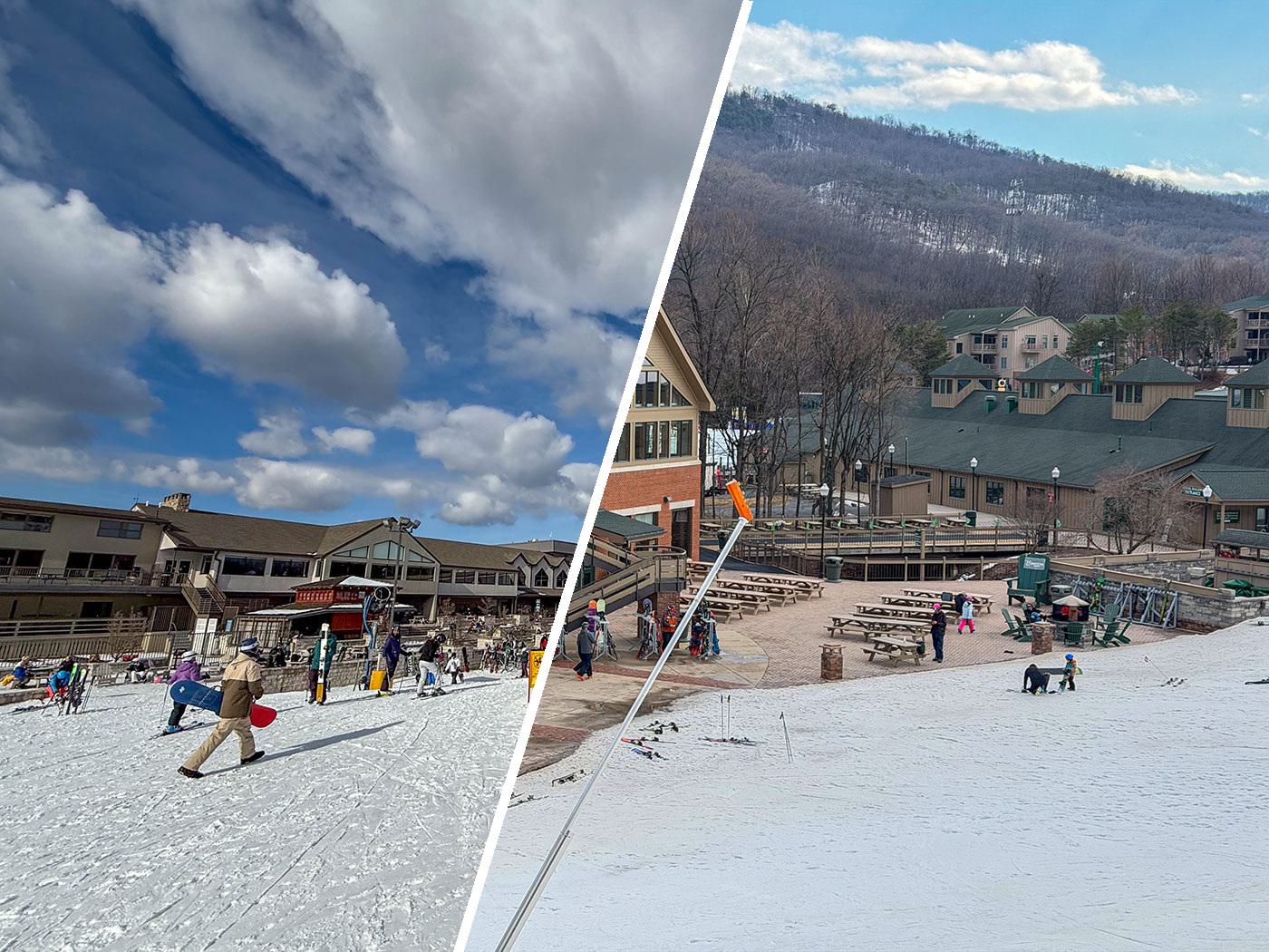 Mountain Matchup: Liberty vs. Whitetail
